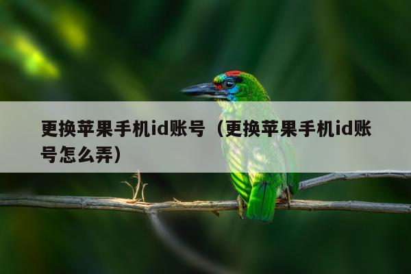 更换苹果手机id账号（更换苹果手机id账号怎么弄）