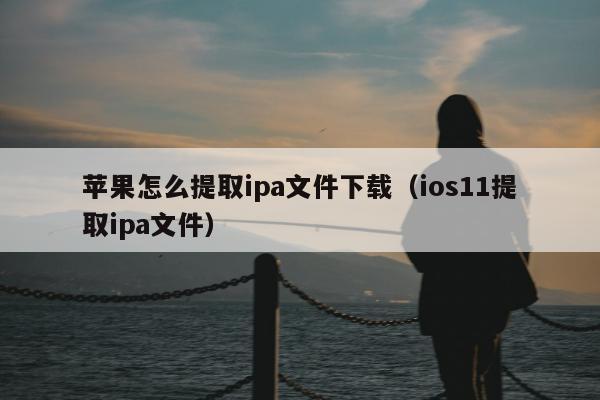 苹果怎么提取ipa文件下载（ios11提取ipa文件）