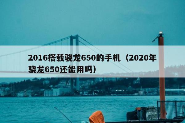 2016搭载骁龙650的手机（2020年骁龙650还能用吗）