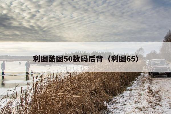 利图酷图50数码后背（利图65）