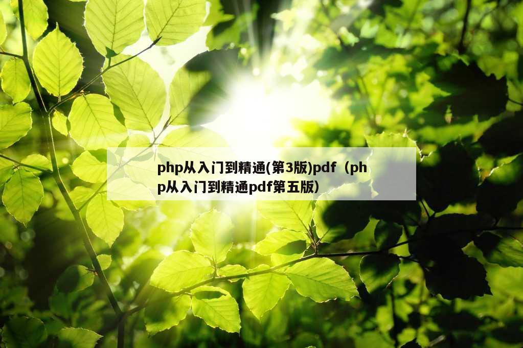 php从入门到精通(第3版)pdf（php从入门到精通pdf第五版）