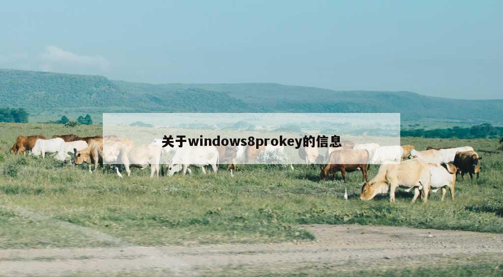 关于windows8prokey的信息