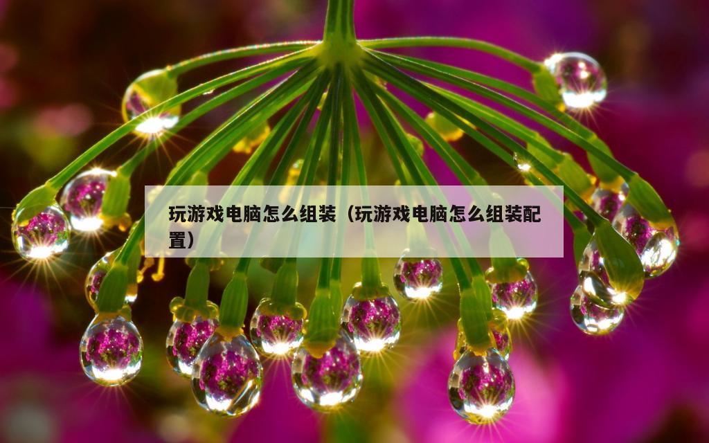 玩游戏电脑怎么组装（玩游戏电脑怎么组装配置）