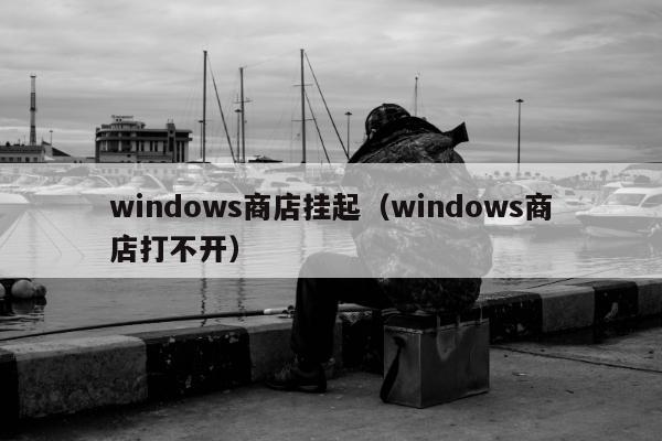 windows商店挂起（windows商店打不开）