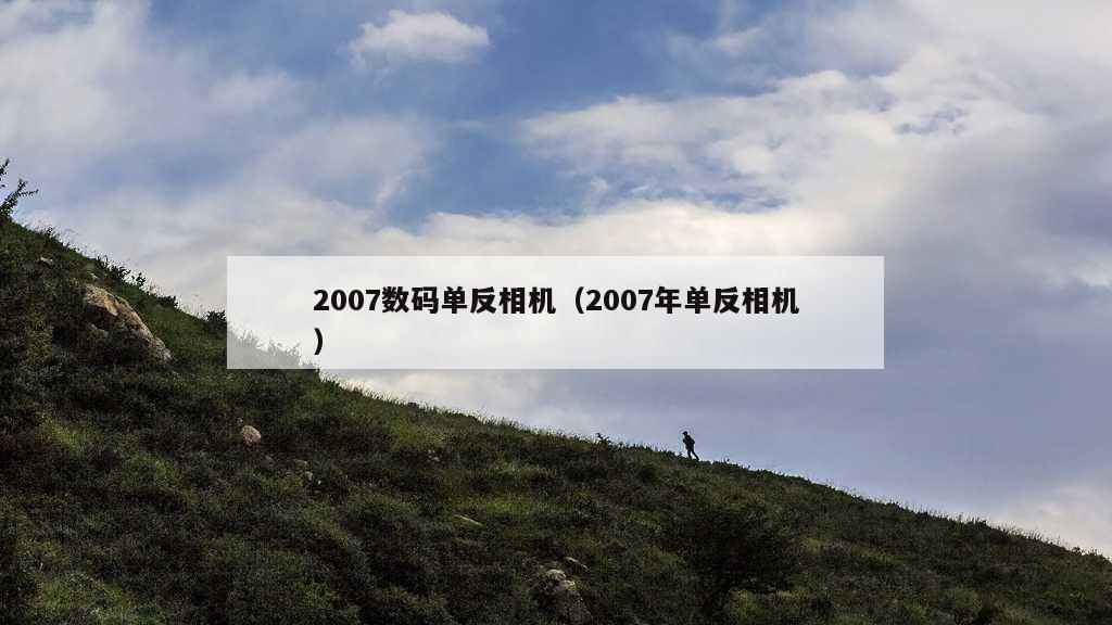 2007数码单反相机（2007年单反相机）