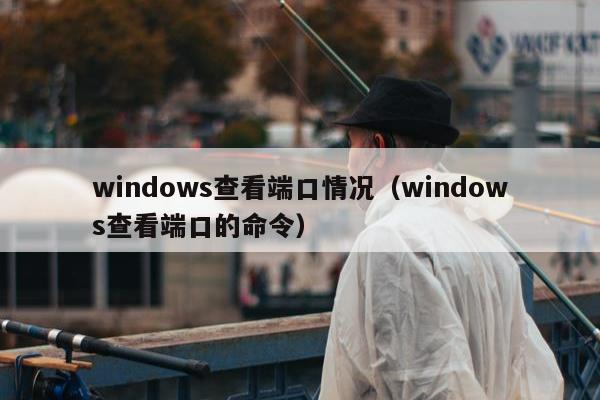 windows查看端口情况（windows查看端口的命令）