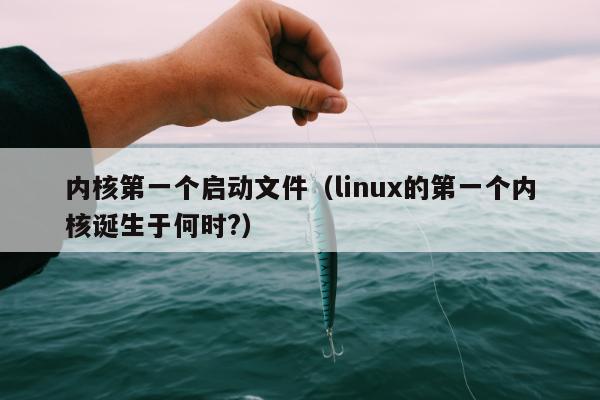 内核第一个启动文件（linux的第一个内核诞生于何时?）