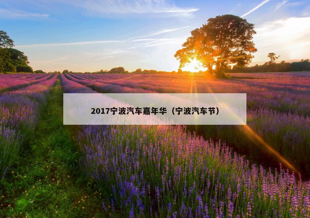 2017宁波汽车嘉年华（宁波汽车节）