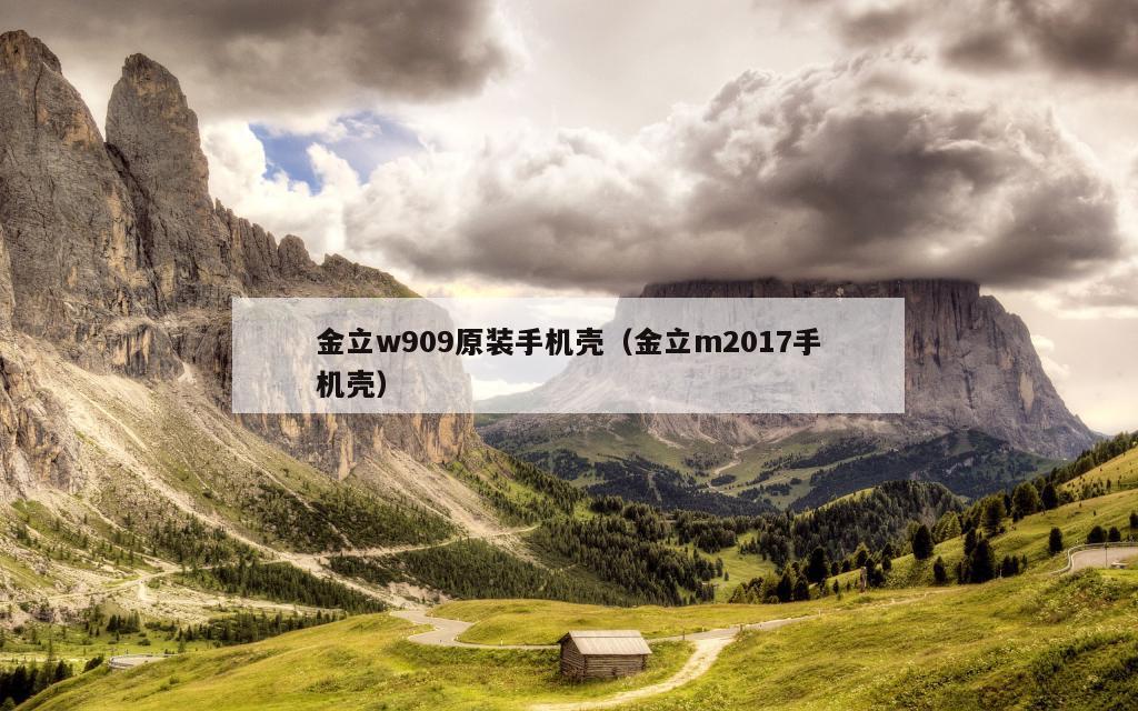 金立w909原装手机壳（金立m2017手机壳）