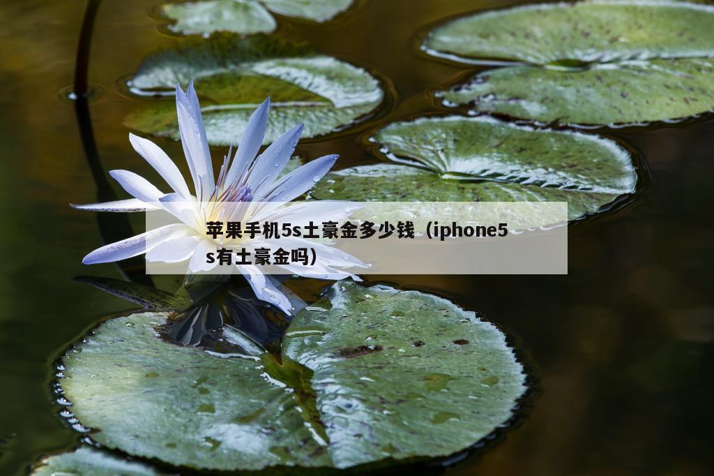 苹果手机5s土豪金多少钱（iphone5s有土豪金吗）