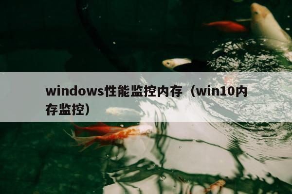 windows性能监控内存（win10内存监控）