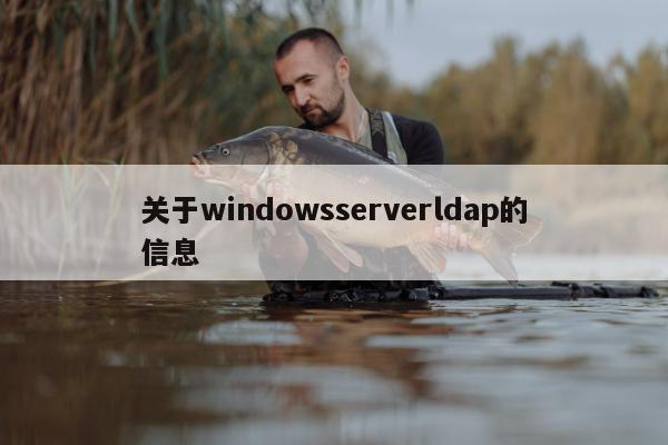 关于windowsserverldap的信息