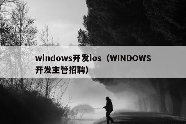 windows开发ios（WINDOWS开发主管招聘）