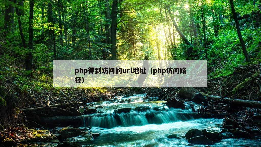 php得到访问的url地址（php访问路径）