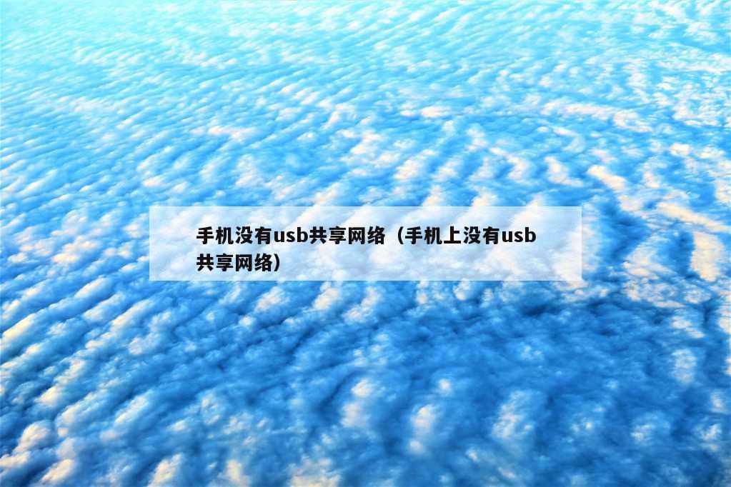 手机没有usb共享网络（手机上没有usb共享网络）