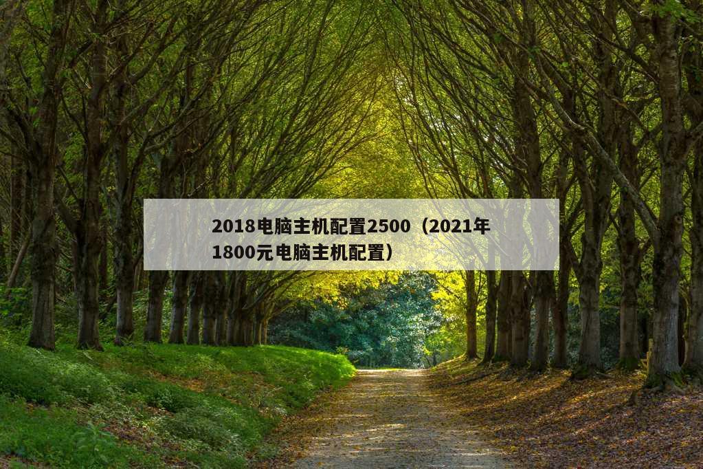 2018电脑主机配置2500（2021年1800元电脑主机配置）