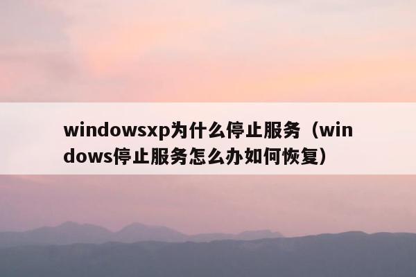 windowsxp为什么停止服务（windows停止服务怎么办如何恢复）