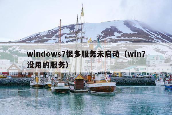 windows7很多服务未启动（win7没用的服务）