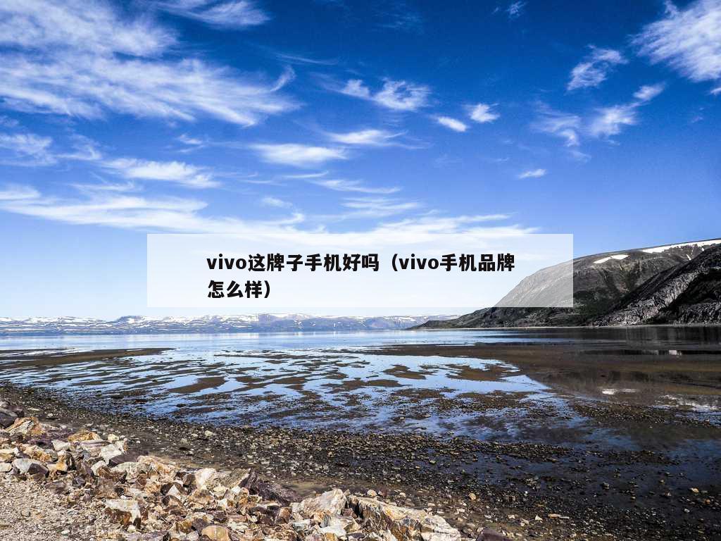 vivo这牌子手机好吗（vivo手机品牌怎么样）