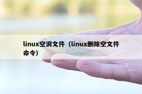 linux空洞文件（linux删除空文件命令）