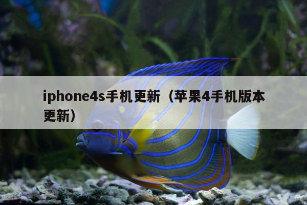 iphone4s手机更新（苹果4手机版本更新）