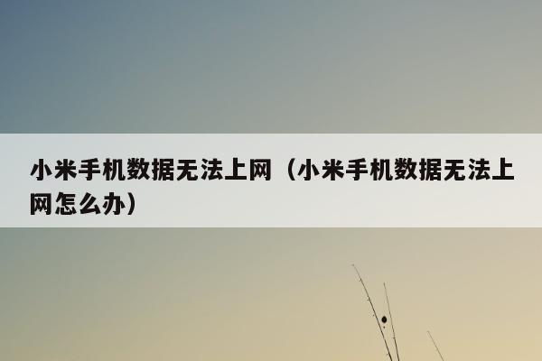 小米手机数据无法上网（小米手机数据无法上网怎么办）