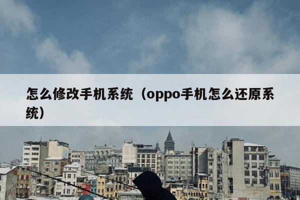 怎么修改手机系统（oppo手机怎么还原系统）