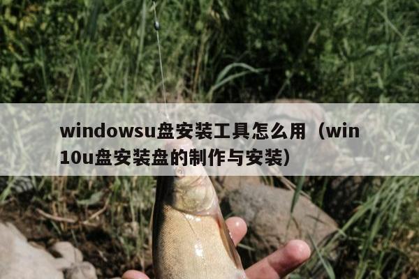 windowsu盘安装工具怎么用（win10u盘安装盘的制作与安装）