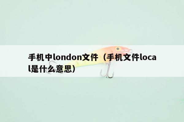 手机中london文件（手机文件local是什么意思）