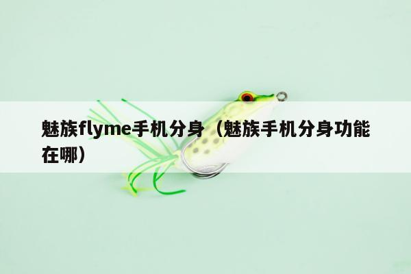 魅族flyme手机分身（魅族手机分身功能在哪）