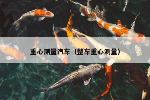 重心测量汽车（整车重心测量）