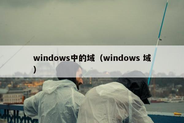 windows中的域（windows 域）