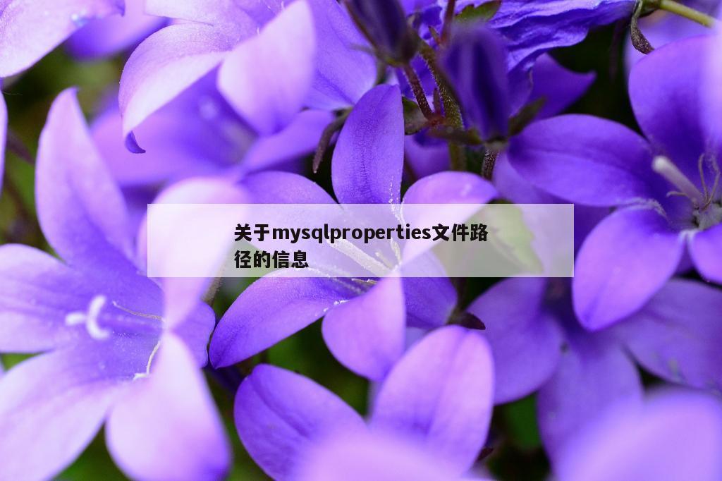 关于mysqlproperties文件路径的信息