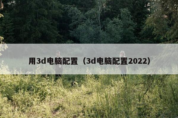 用3d电脑配置（3d电脑配置2022）