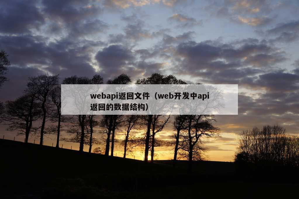 webapi返回文件（web开发中api返回的数据结构）