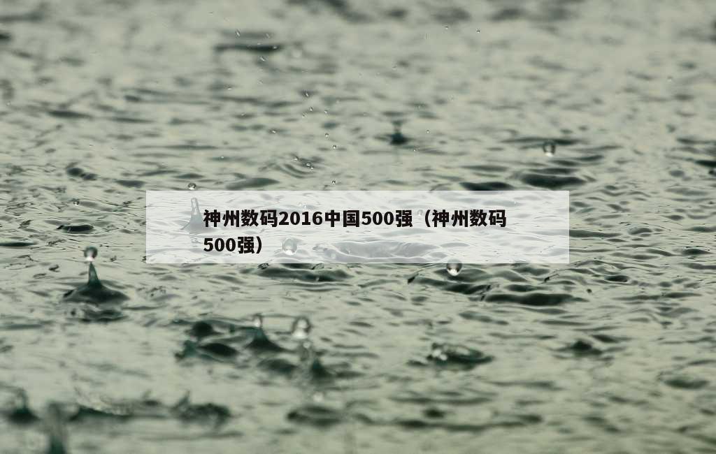 神州数码2016中国500强（神州数码 500强）