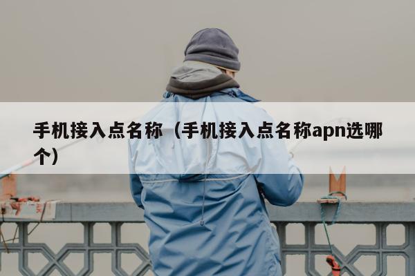 手机接入点名称（手机接入点名称apn选哪个）