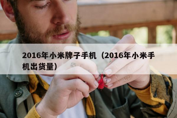 2016年小米牌子手机（2016年小米手机出货量）