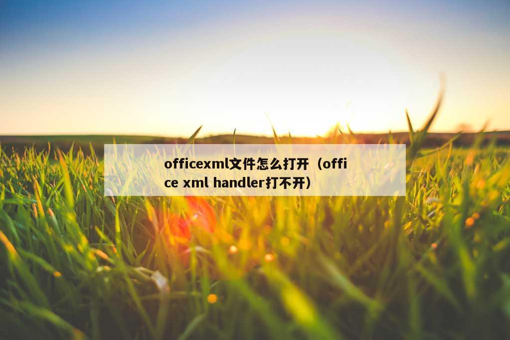 officexml文件怎么打开（office xml handler打不开）