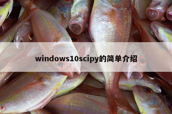 windows10scipy的简单介绍