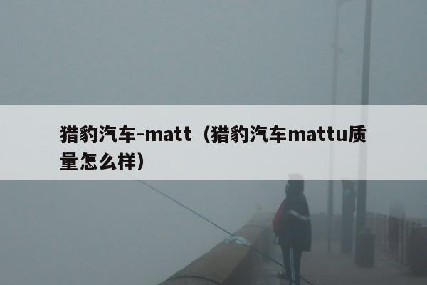 猎豹汽车-matt（猎豹汽车mattu质量怎么样）