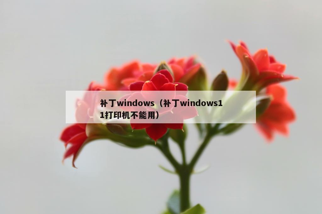 补丁windows（补丁windows11打印机不能用）