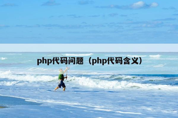 php代码问题（php代码含义）