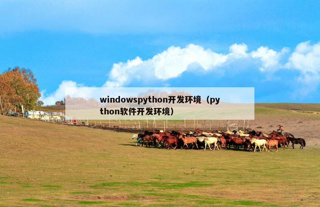 windowspython开发环境（python软件开发环境）