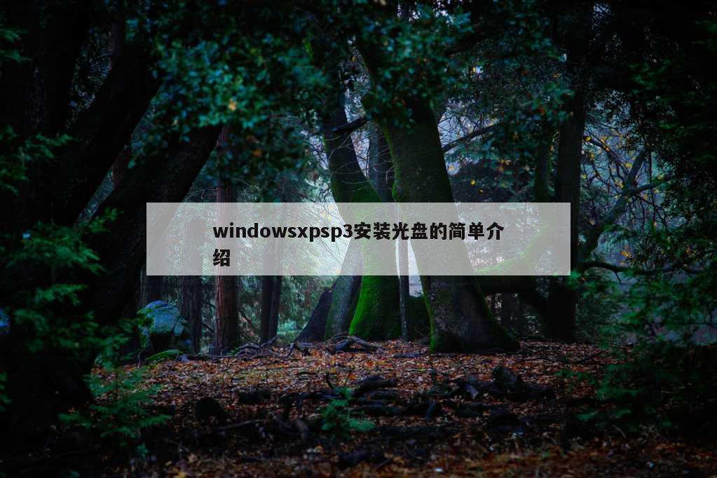 windowsxpsp3安装光盘的简单介绍