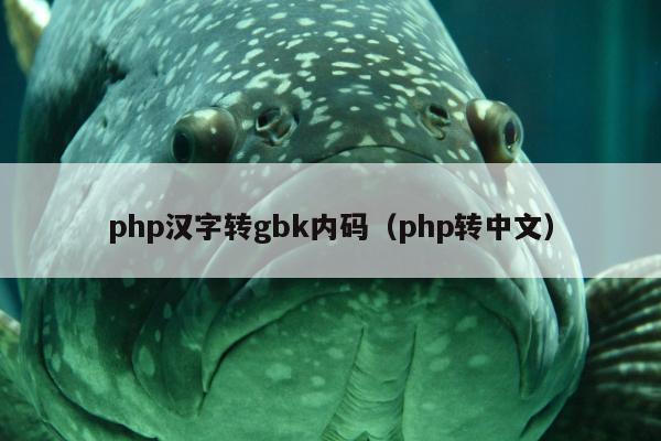 php汉字转gbk内码（php转中文）