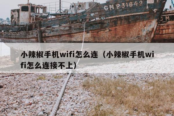 小辣椒手机wifi怎么连（小辣椒手机wifi怎么连接不上）