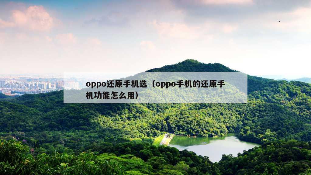 oppo还原手机选（oppo手机的还原手机功能怎么用）