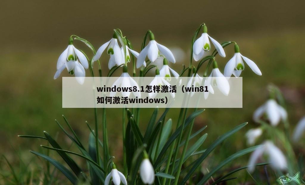 windows8.1怎样激活（win81如何激活windows）