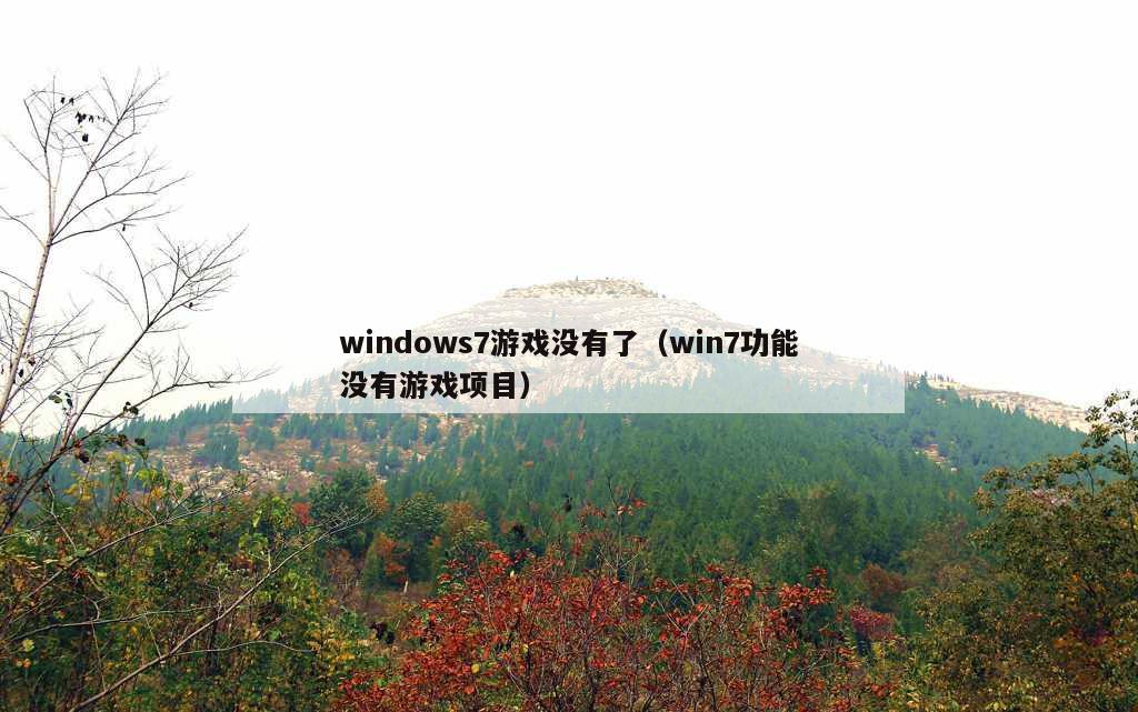 windows7游戏没有了（win7功能没有游戏项目）